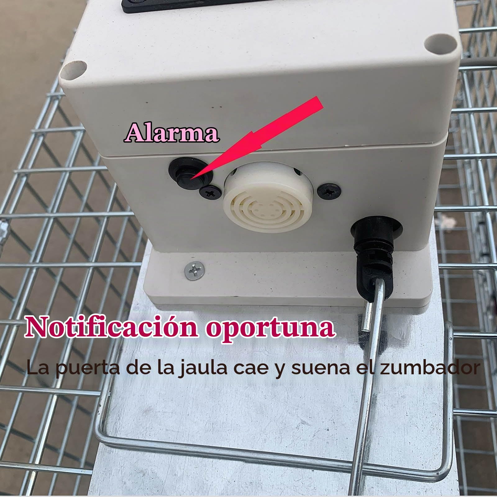 Humane Live Animal Trap, jaula infrarroja de 32 pulgadas con control remoto, diseño plegable para atrapar ardillas, mapaches, conejos y ardillas