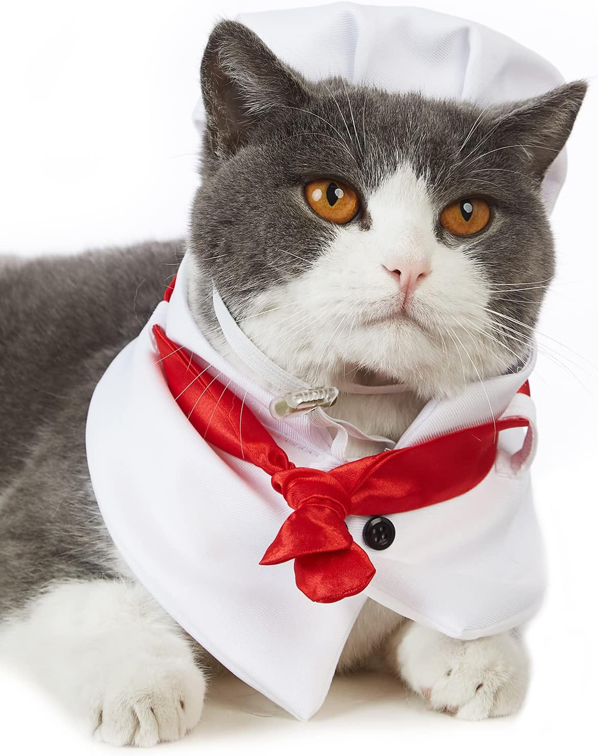 Dog Cat Chef Costumes Halloween Costumes for Small Medium Dogs Cat Cooking Chef Hat