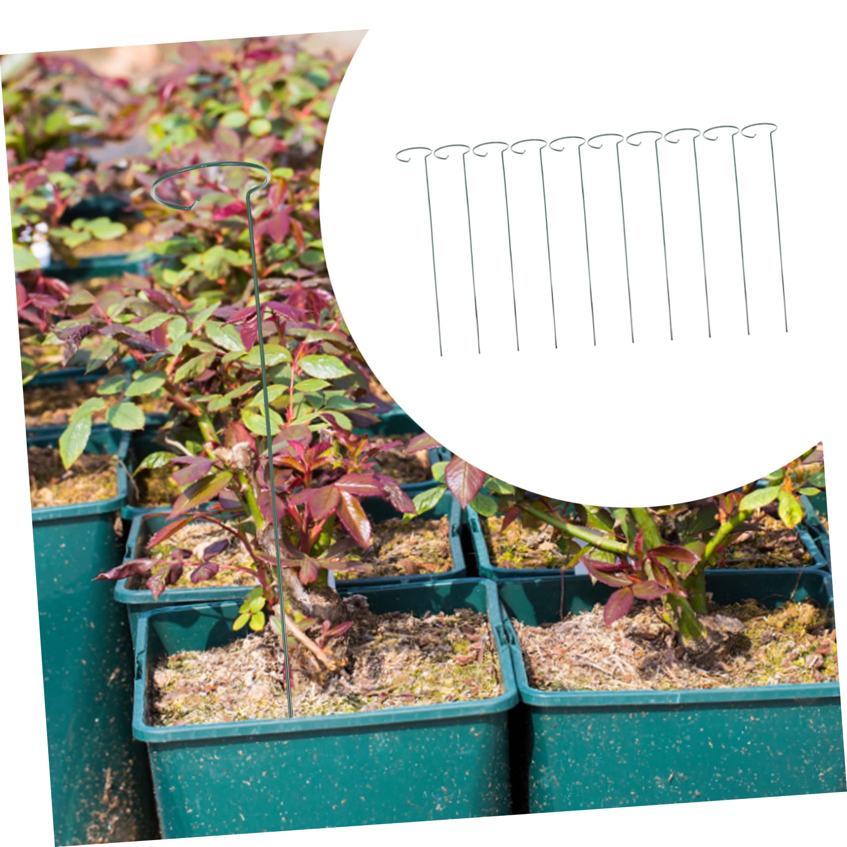 TOYANDONA 2 Ensembles Tuteurs De Plantes Supports pour Fleurs Et Plantes Grimpantes Cadres De Fixation pour Pots pour Jardin Équilibré Et Élégant 10 Pièces * 2