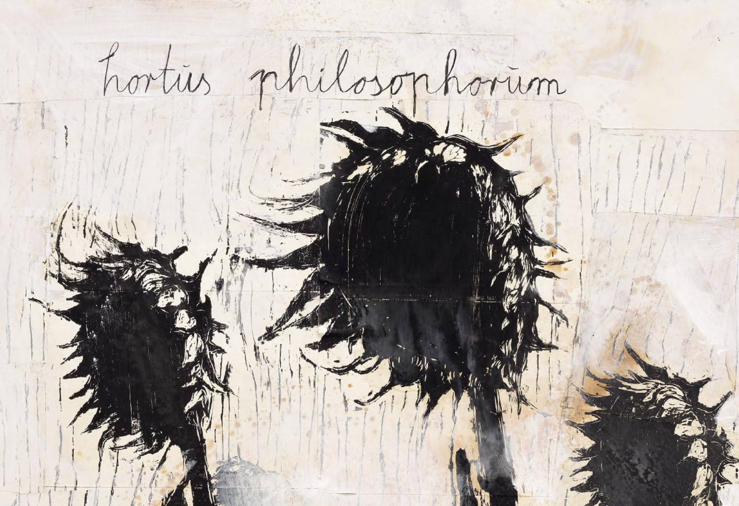 Amazon.co.jp: Anselm Kiefer: 本、バイオグラフィー、最新アップデート