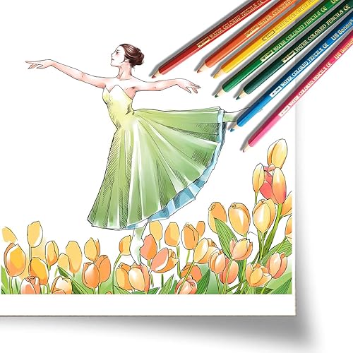 Miniatura 7 de US Sense lápices de colores surtidos paquete de 24 lápices de dibujo para colorear con aceite para niños y adultos