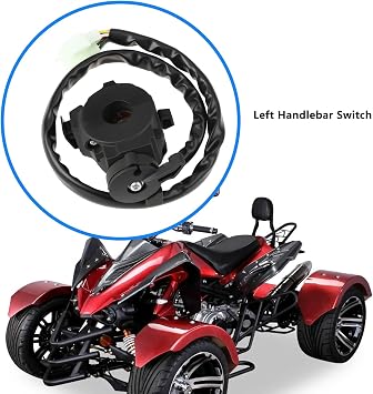 ECSiNG Indicator Light Left Handlebar Switch Compatible with Jinling JLA 21B 250cc 931E 276 300cc 923 Trike Models