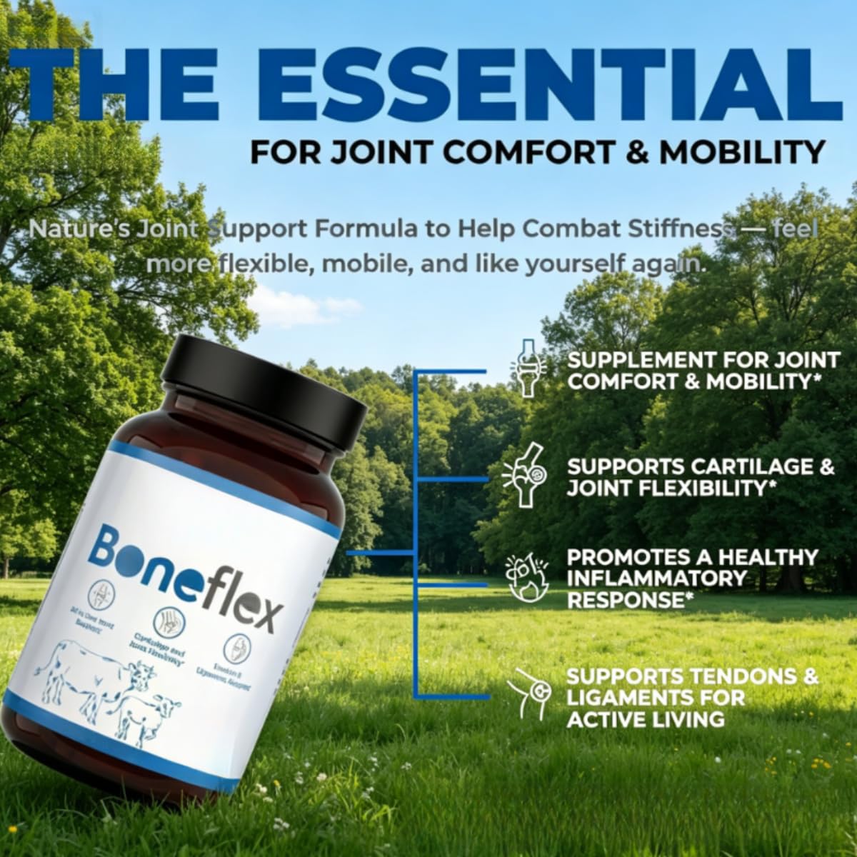Boneflex—— Migliora la flessibilità della cartilagine e delle articolazioni, mantiene la stabilità articolare e riduce il rischio di infortuni sportivi