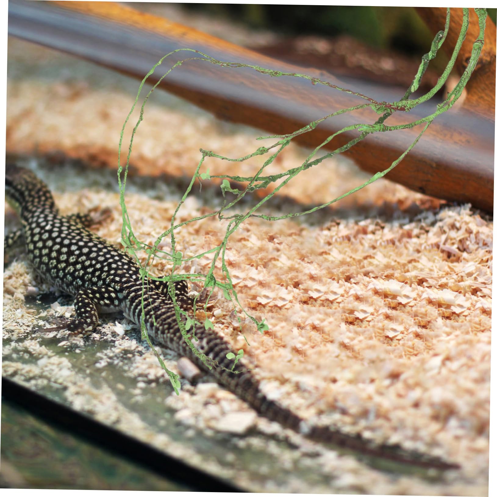 Toyvian Vite Decorative Vento Per Terrari Accessori Per Rettili Arrampicata Per Lucertole e Decorazione Per Habitat