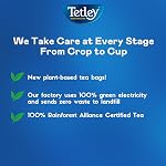Tetley Thé noir orange Pekoe - 36 Sacs à thé, 113 Grams, Kosher, Contient de la caféine