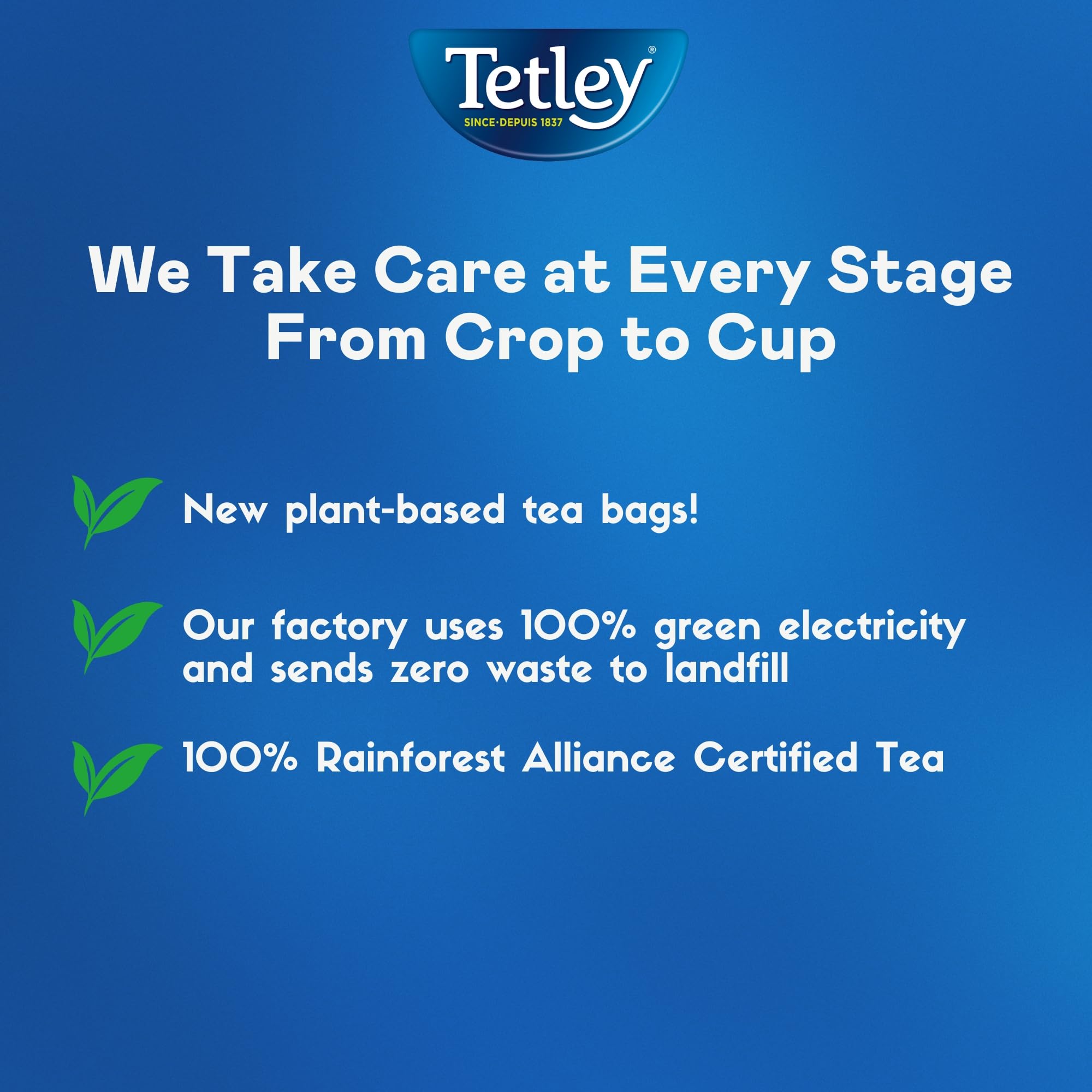 Tetley Orange Pekoe Black Tea - 36 Tea Bags, 113 Grams, Kosher, Contains Caffeine - 5