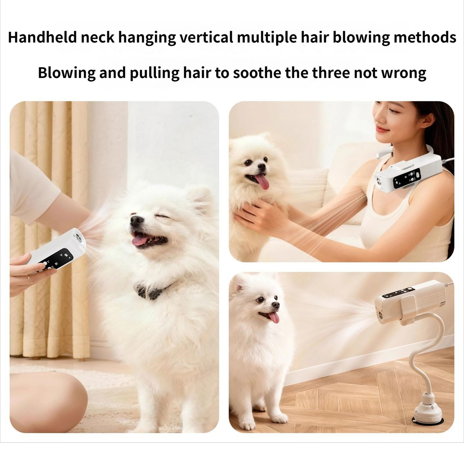 Sèche-linge pour animaux domestiques puissants - Séchage rapide - Portable - Outil de toilettage pour chien