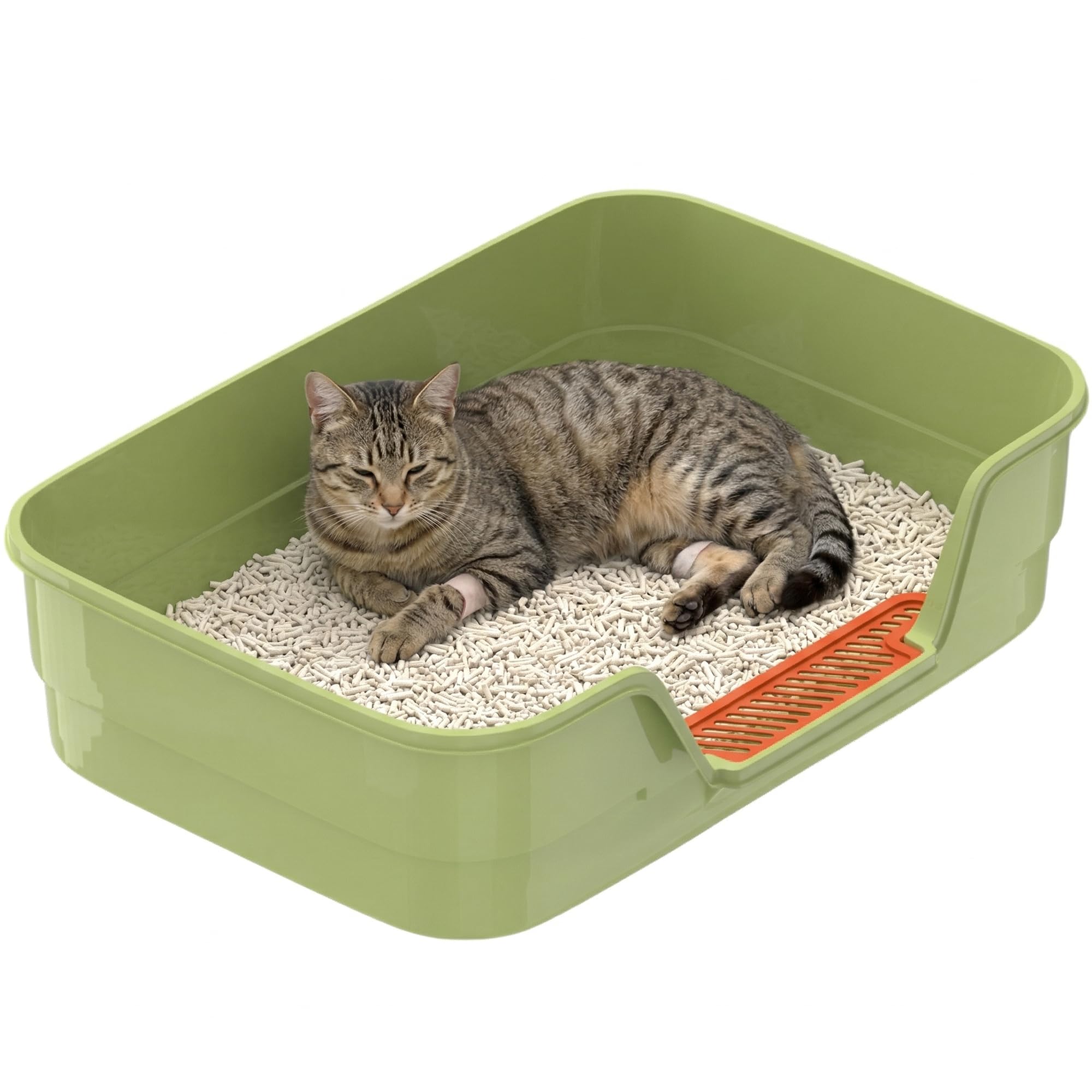 Suhaco Large Cat Litter Tray with High Sides & Low Entry Spacious 60x40x16CM Open Design for Elderly Cats & Kittens Easy Clean Cat Litter Box (GREEN)