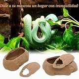 Ver la foto 3