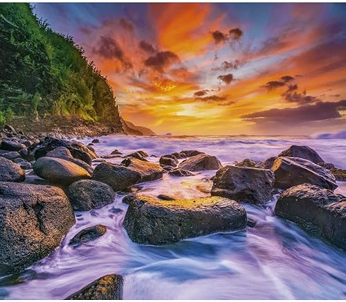 Miniatura 5 de Calendar Ink, Islands WWF 2024 - Calendario de pared