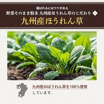 Amazon.co.jp: オーガランド ほうれん草 ほうれん草パウダー
