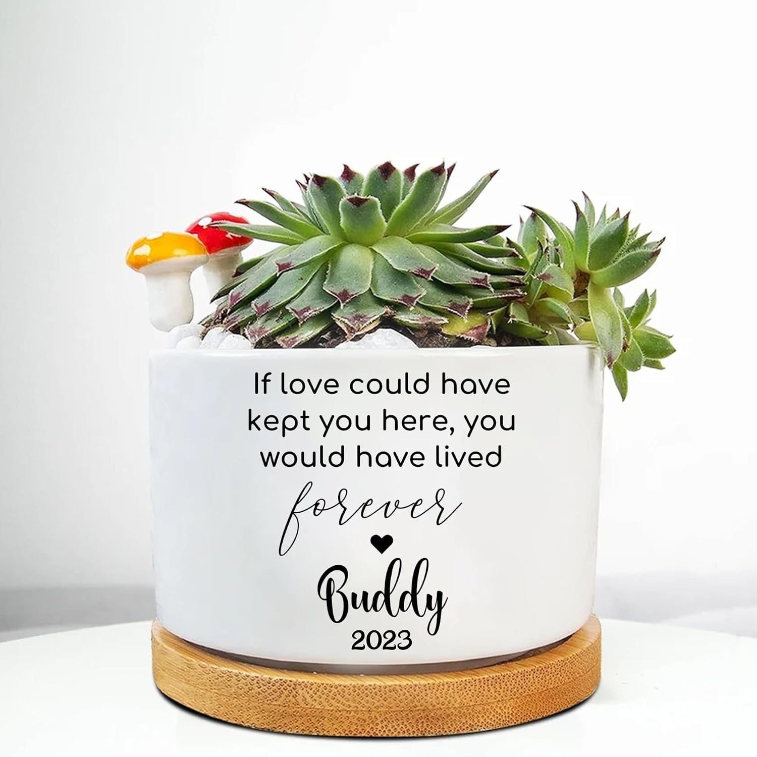 Personalized Dog Memorial Gift Planter, Dog Sympathy Gift - Pet Memorial, Pet Memorial Planter Pot with Bamboo Tray, Custom Pets Condolences Loss Gifts, Dog Memorial Gifts Plant Pot, 2