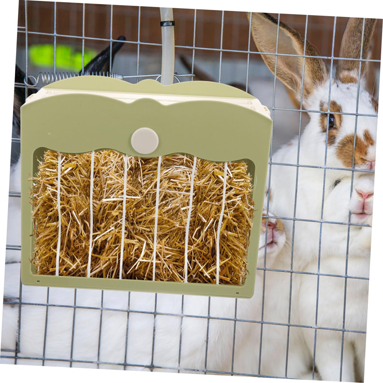 2pezzi Mangiatoia Per Conigli e Porcellini Da Contenitore Appeso Riutilizzabile Supporto Per Cibo Per Piccoli Animali Facile Da Pulire e Manutenere