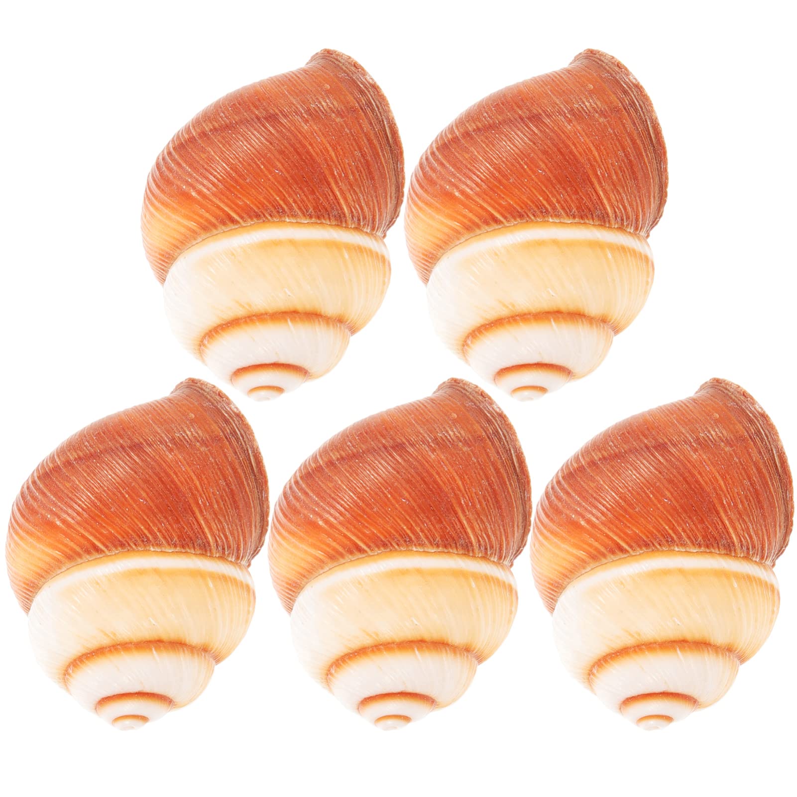 POPETPOPLarge Hermit Crab Shells: Furrowed Brown Landsnail Sea Shells Natural Sea Conch - Turbo Seashells for Hermit Crab Supplies and Beach Decoration