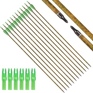 Carbon Arrow Camo Practice Hunting Arrows with Removable Tips for Archery Compound & Recurve & Traditional Bow (Pack of 12) - coolthings.us