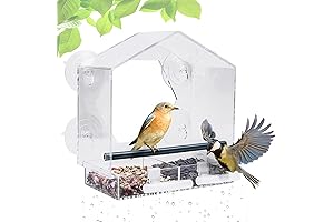 Sneak A Peak Window Bird Feeder - Your Personal Bird Show