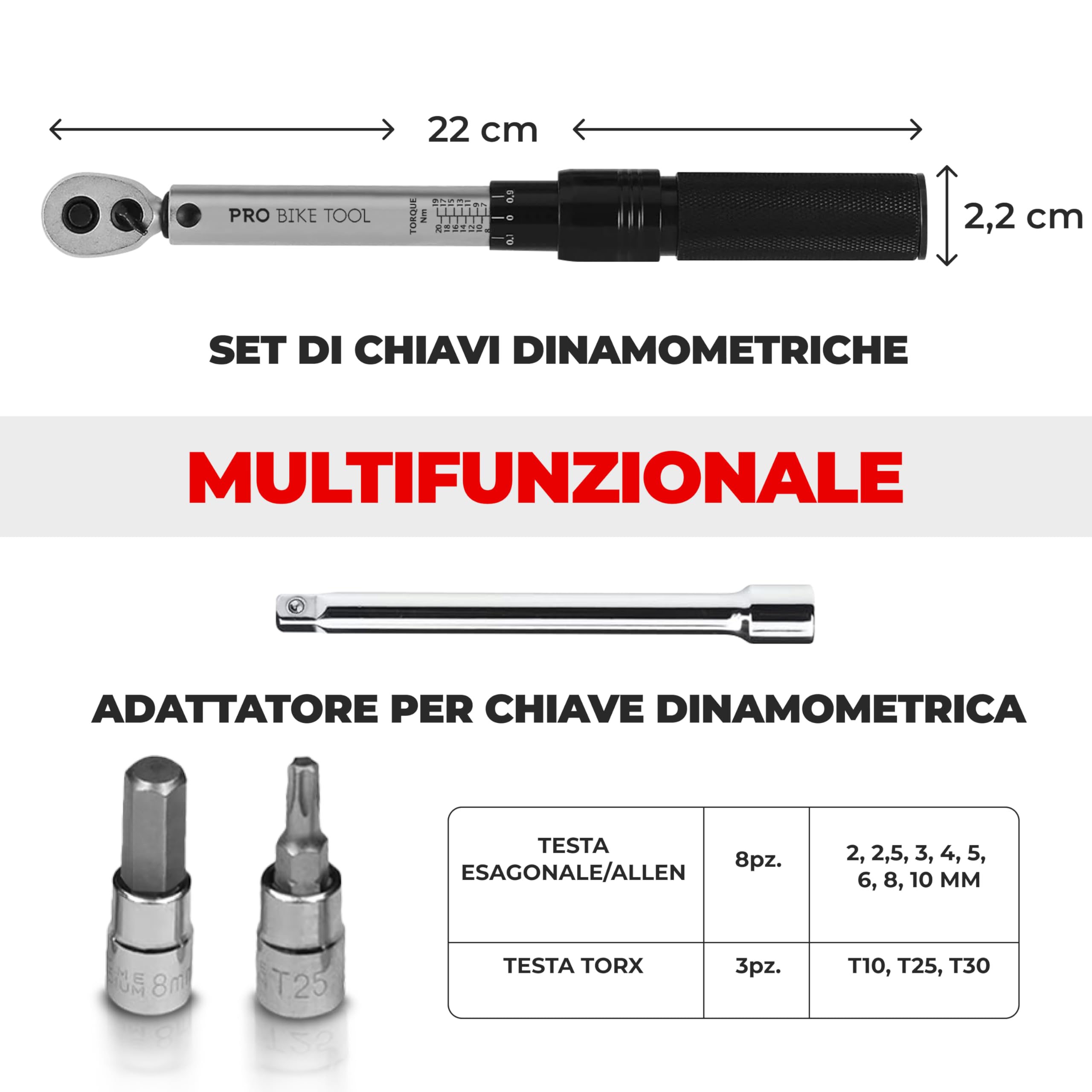 PRO BIKE TOOL Set Chiavi Dinamometriche 1/4" - 2-20 Nm - Kit Chiavi Torx e Brugola con Barra Estensione e Scatola - Chiave Dinamometrica per Bici Auto Moto - Accessori Bicicletta e Dinamometro