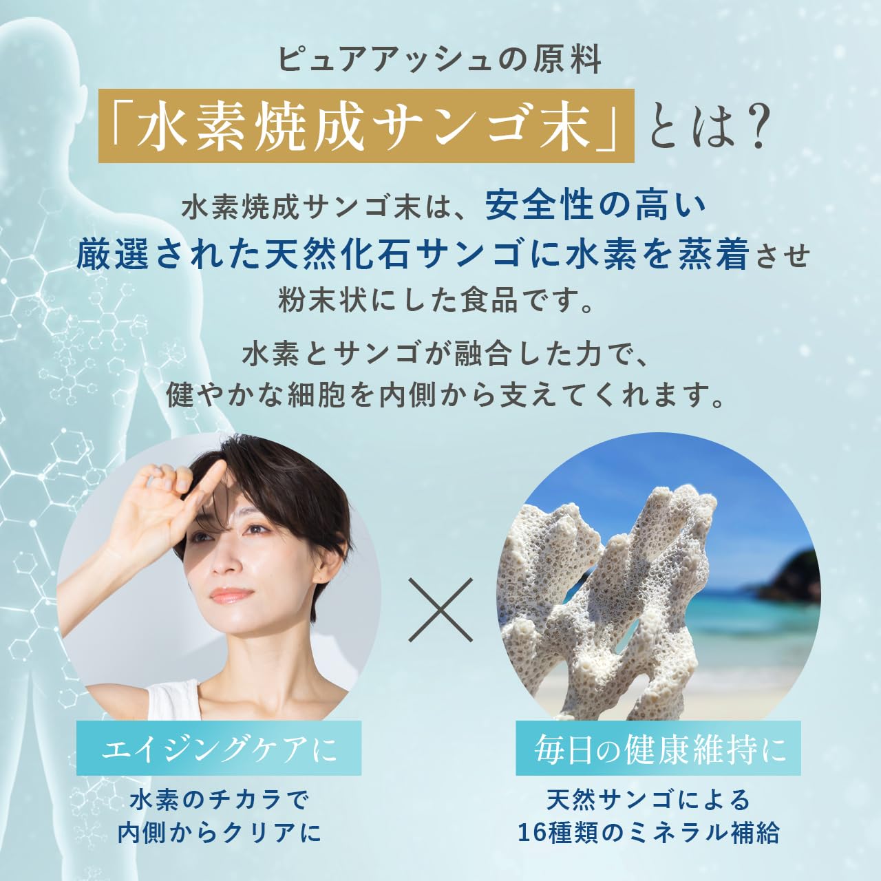 Amazon.co.jp: 水素焼成サンゴ末 ピュアアッシュ 60粒（水素焼成サンゴ