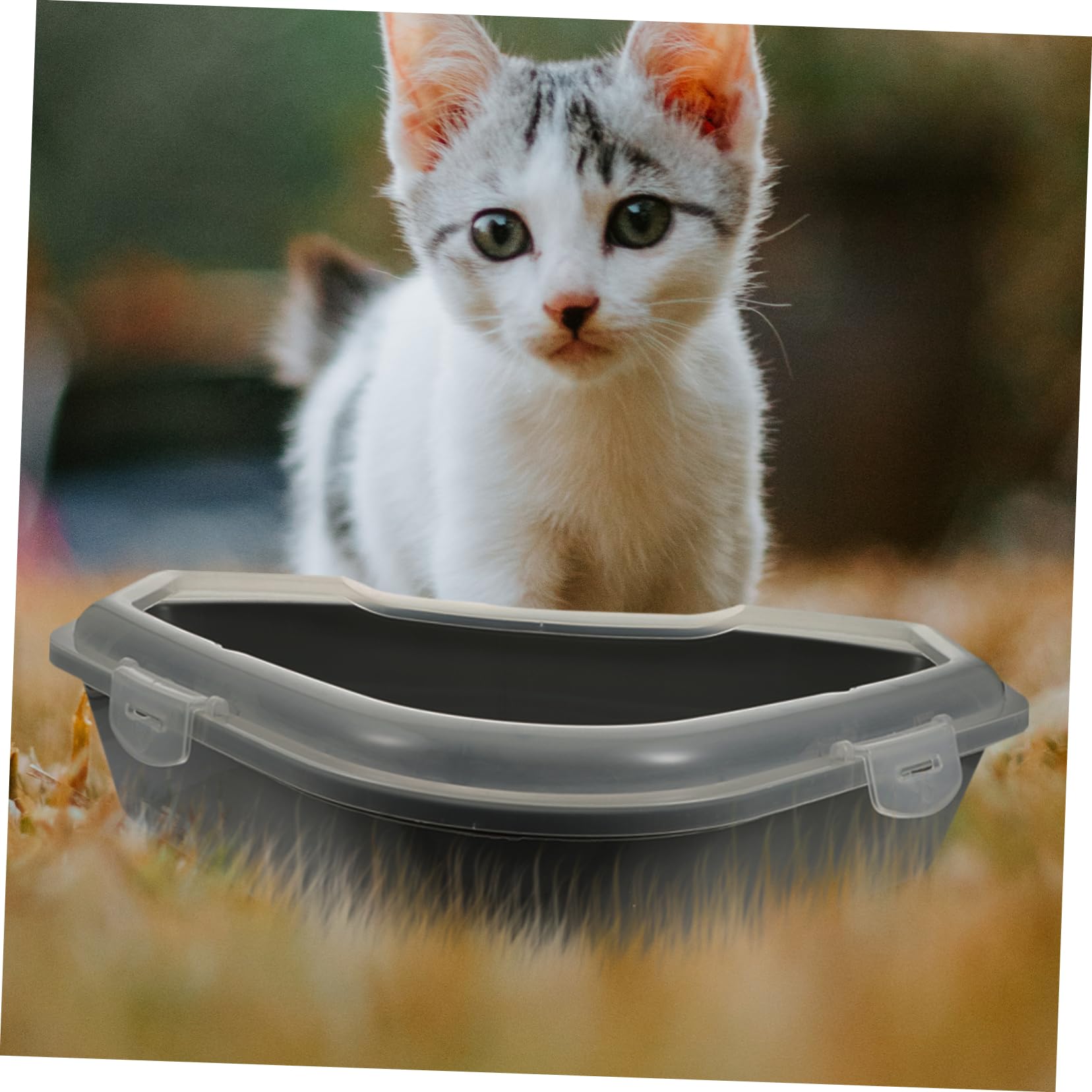 Yardwe Große Dreieckige Katzentoilette mit Spritzschutz Abnehmbarem Design und Halbgeschlossener Pp Katzenstreu Fall für Hygienische Katzenhaltung