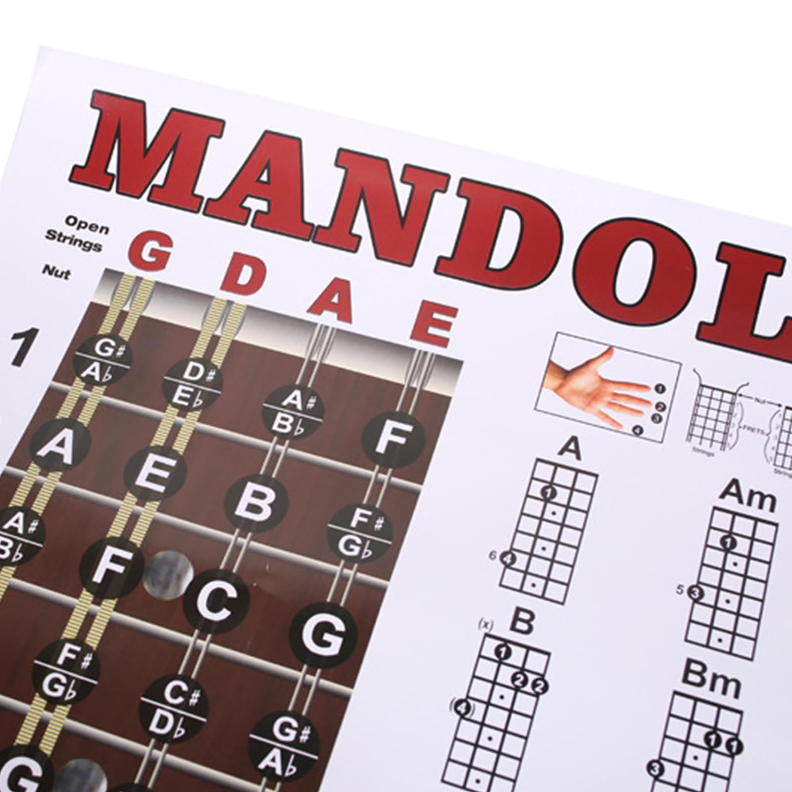 Mandolin Chord Diagram Print Mandolin Chord Chart Poster – Easy-Read ...