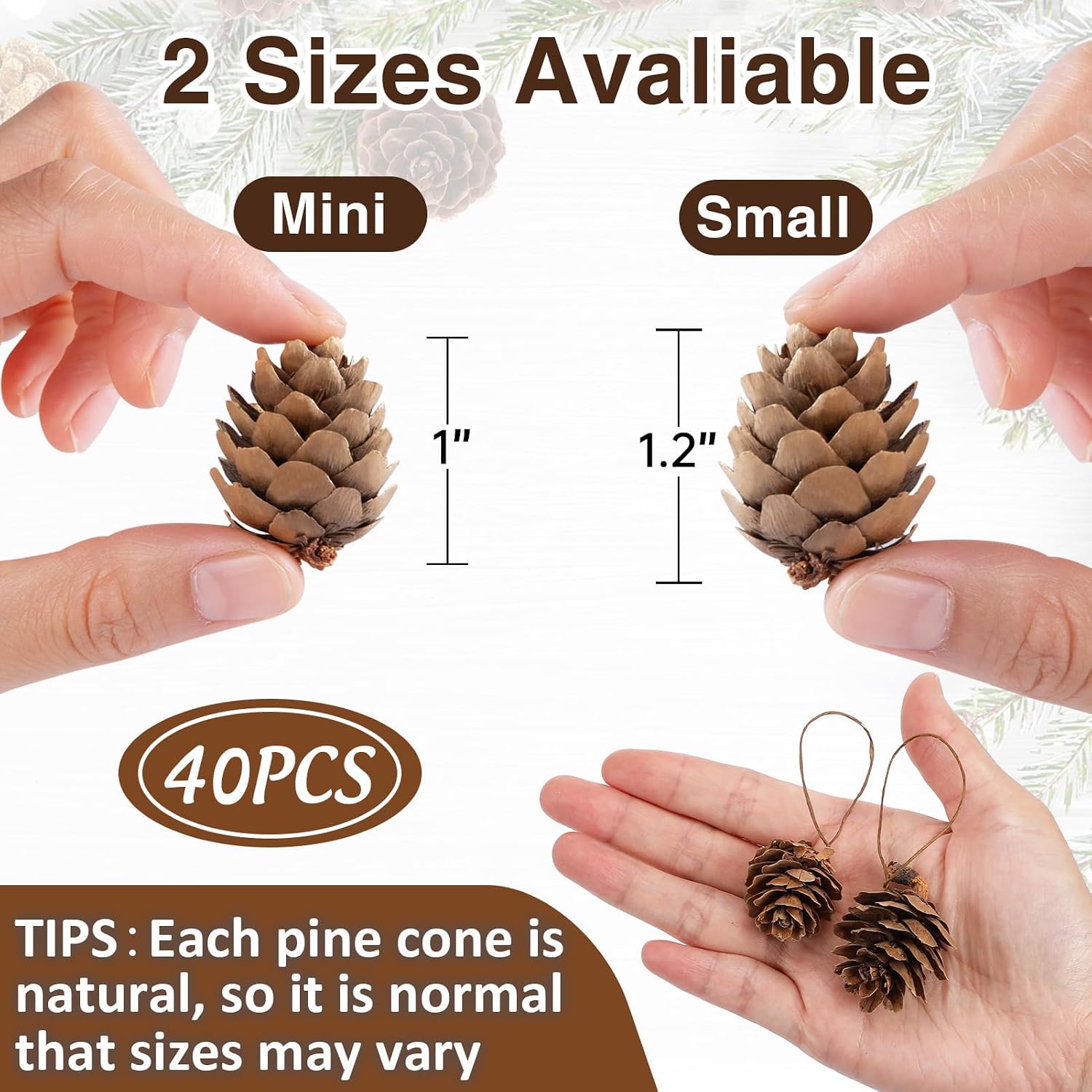 1" Natural Mini Pine Cones Christmas Ornaments - 40 Pcs Hanging Pinecone Crafts with Strings, Bulk Rustic Yule Decoration for Tree Table Garland Wreath Gift Tag Vase Filler