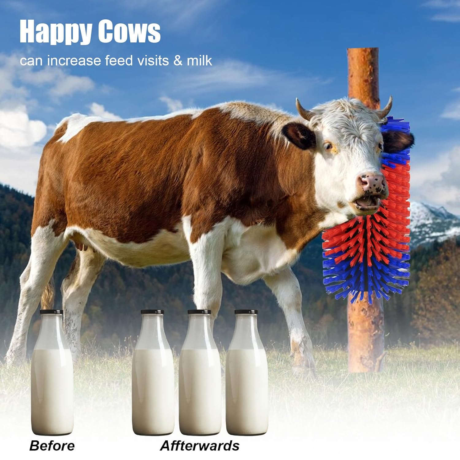 Detalji i struktura četke za češanje