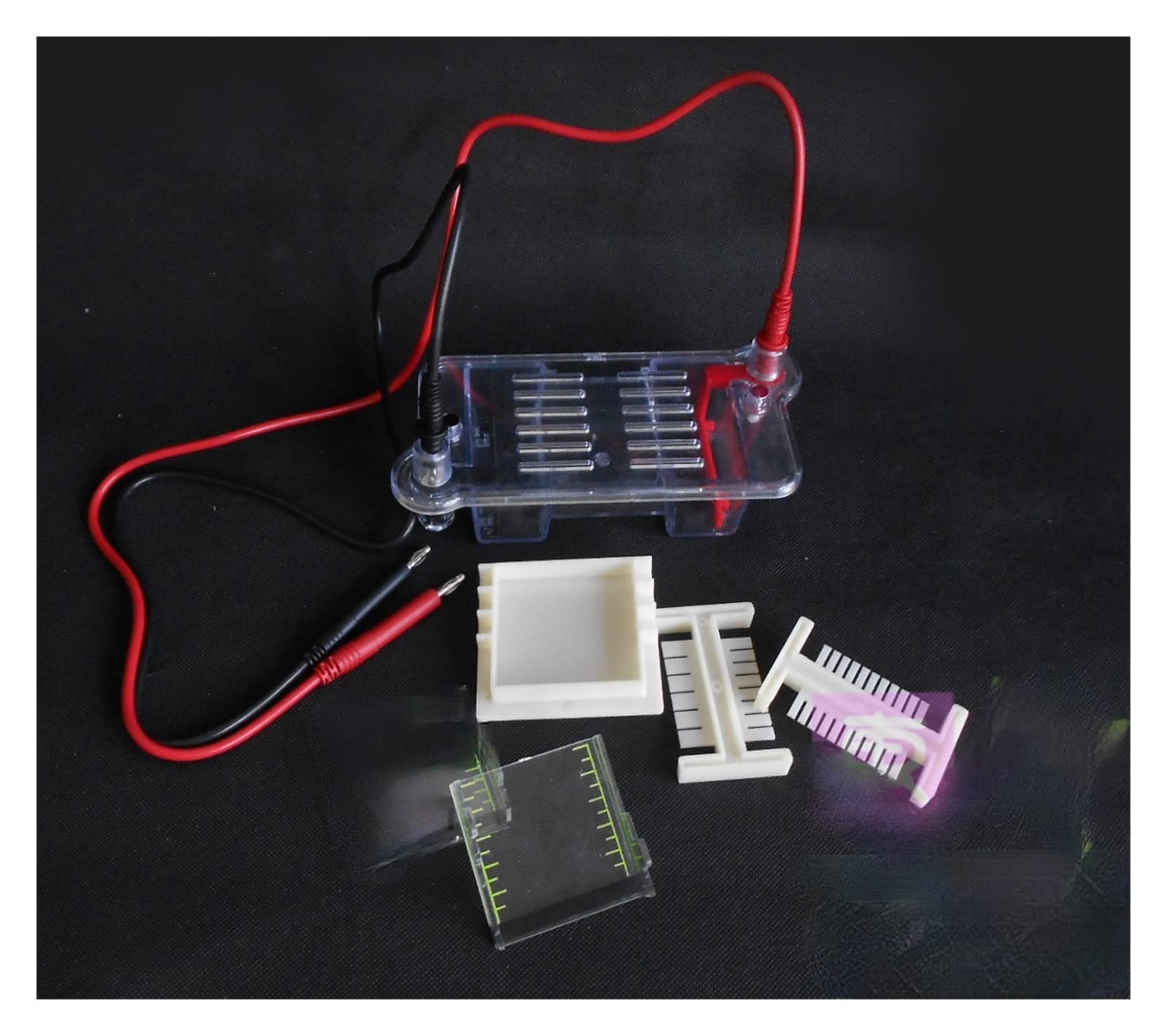 Gel per elettrodi, Strumento biologico for serbatoio for elettroforesi orizzontale con elettrodo non platino