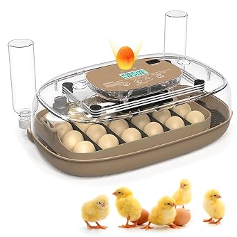 Incubators for Hatching Eggs, 24 Egg Incubator with Automatic Turning and Humidity Control, 360° View Incubadora De Huevos De Gallina, Egg Candler, Incubator for Chicken Eggs, Ducks, Goose, Quail