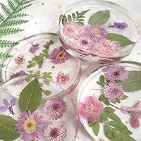 Vista 3 de RESINWORLD 6-Cavity Deep Round Coaster Molds, 4 Inches Coaster Silicone Molds for Epoxy Resin, Coaster Resin Molds for Flower Bouquet Preservation