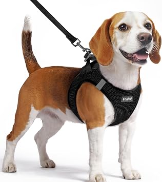 Eagloo Small Dog Harness and Leash Set, Step in Medium Small Puppy Pet Vest