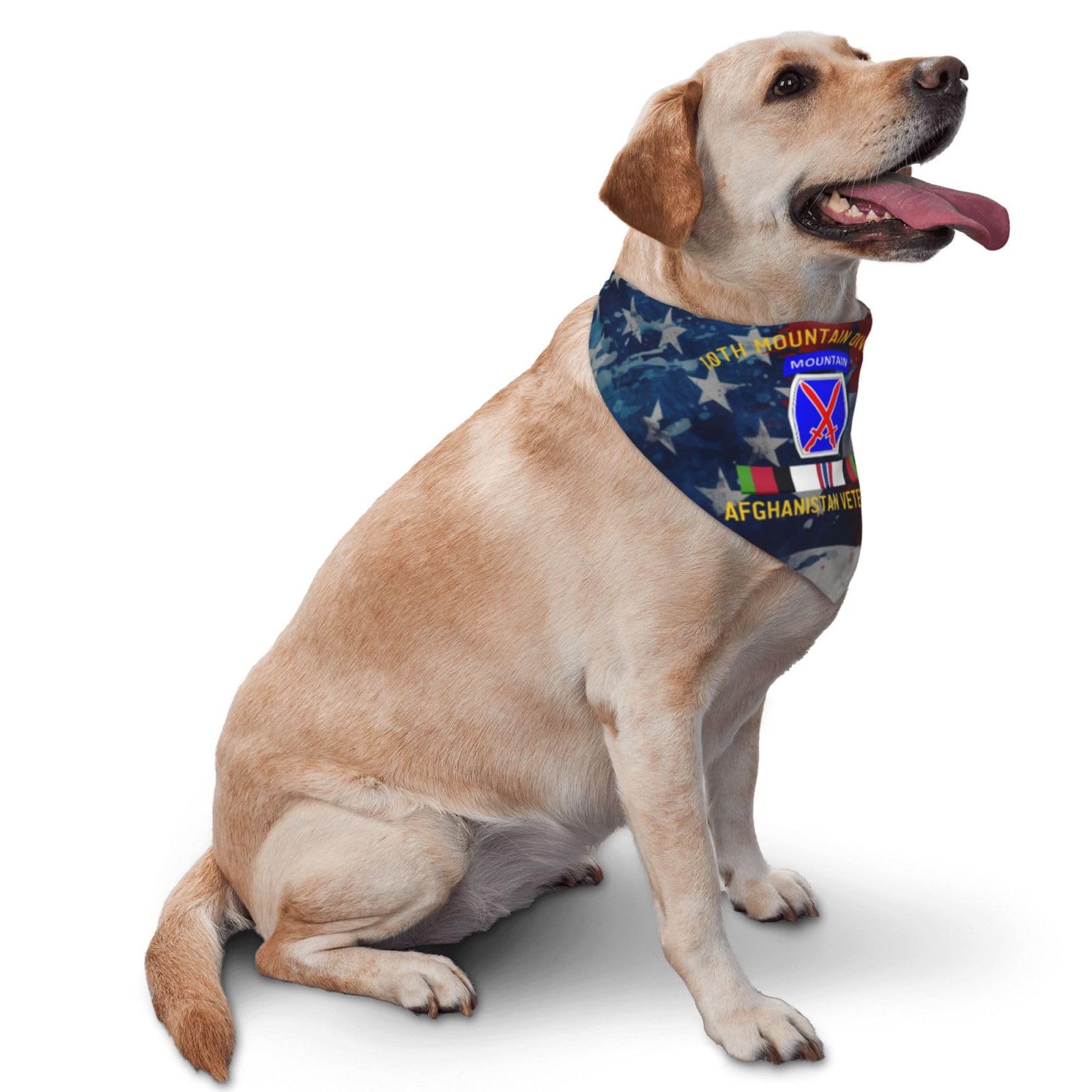 10th Mountain Division Afghanistan Veteran Dog Scarf Pet Bandana Cat Pet Bibs
