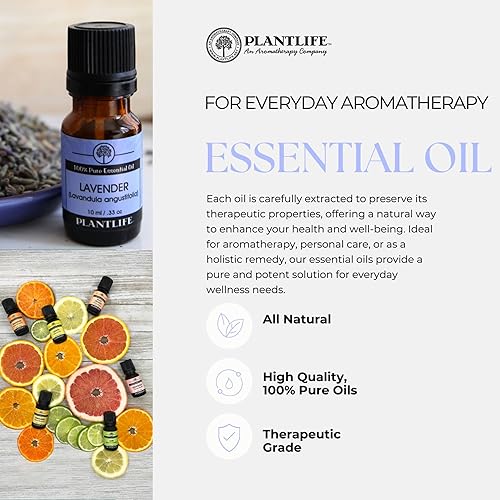 Miniatura 2 de Comino aceite esencial 100% puro0.3fl oz