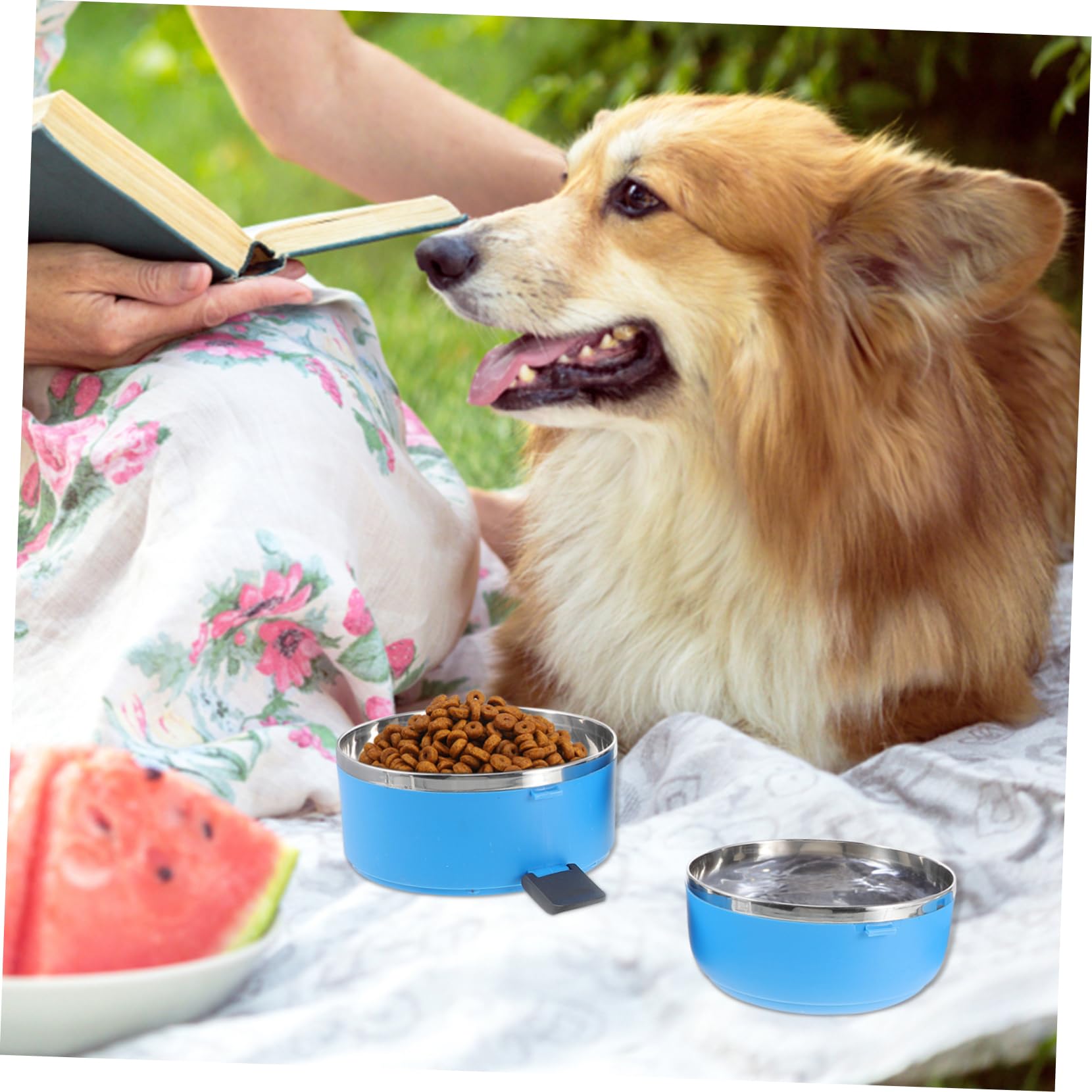 SUPVOX Portable Stainless Steel Pet Travel Bowl with Leak Design Double Layers for Water Food Storage Handle for Outdoor Feeding Dogs and Cats Blue