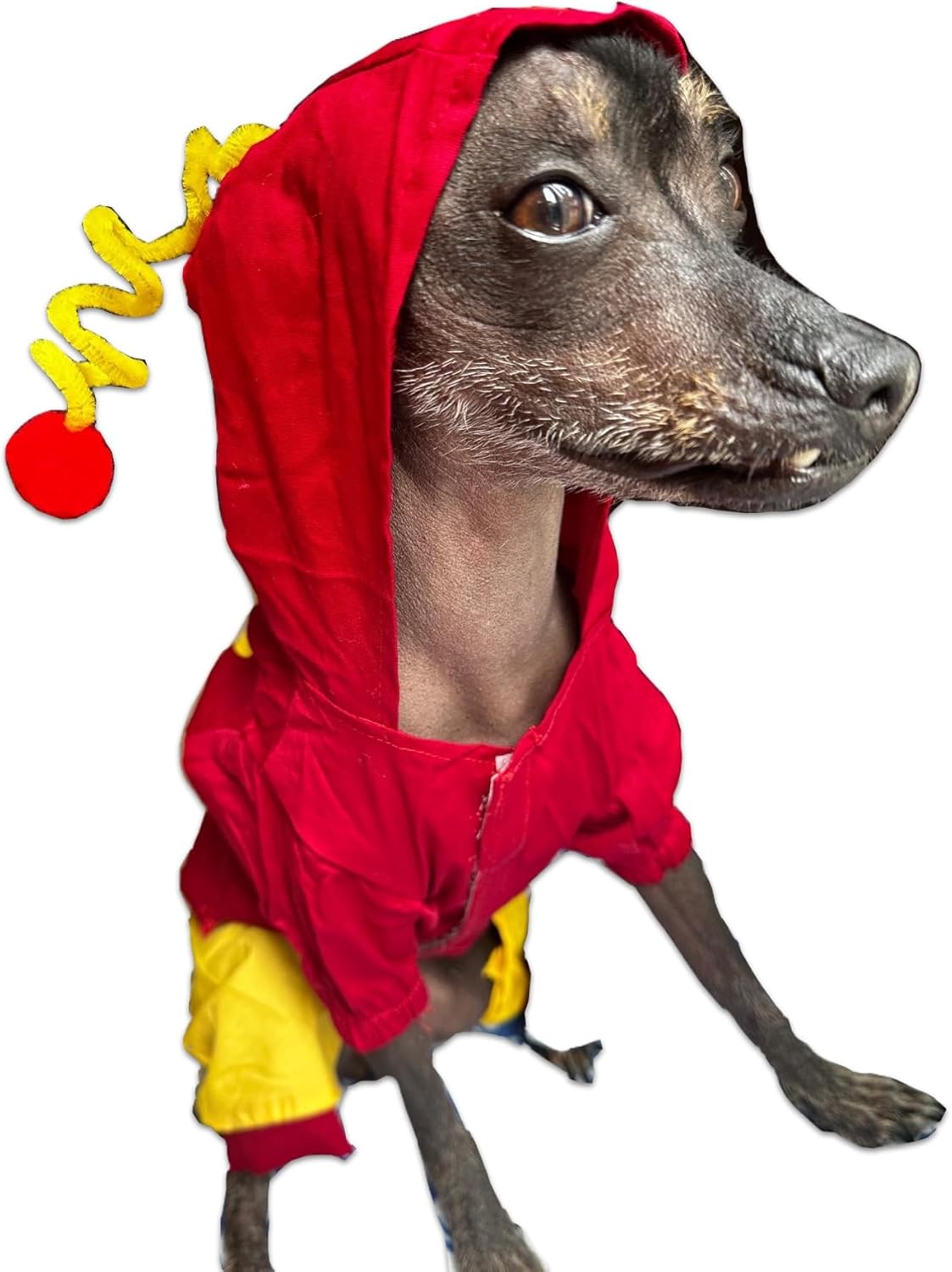El chapulin colorado dog costume (3X-Large)