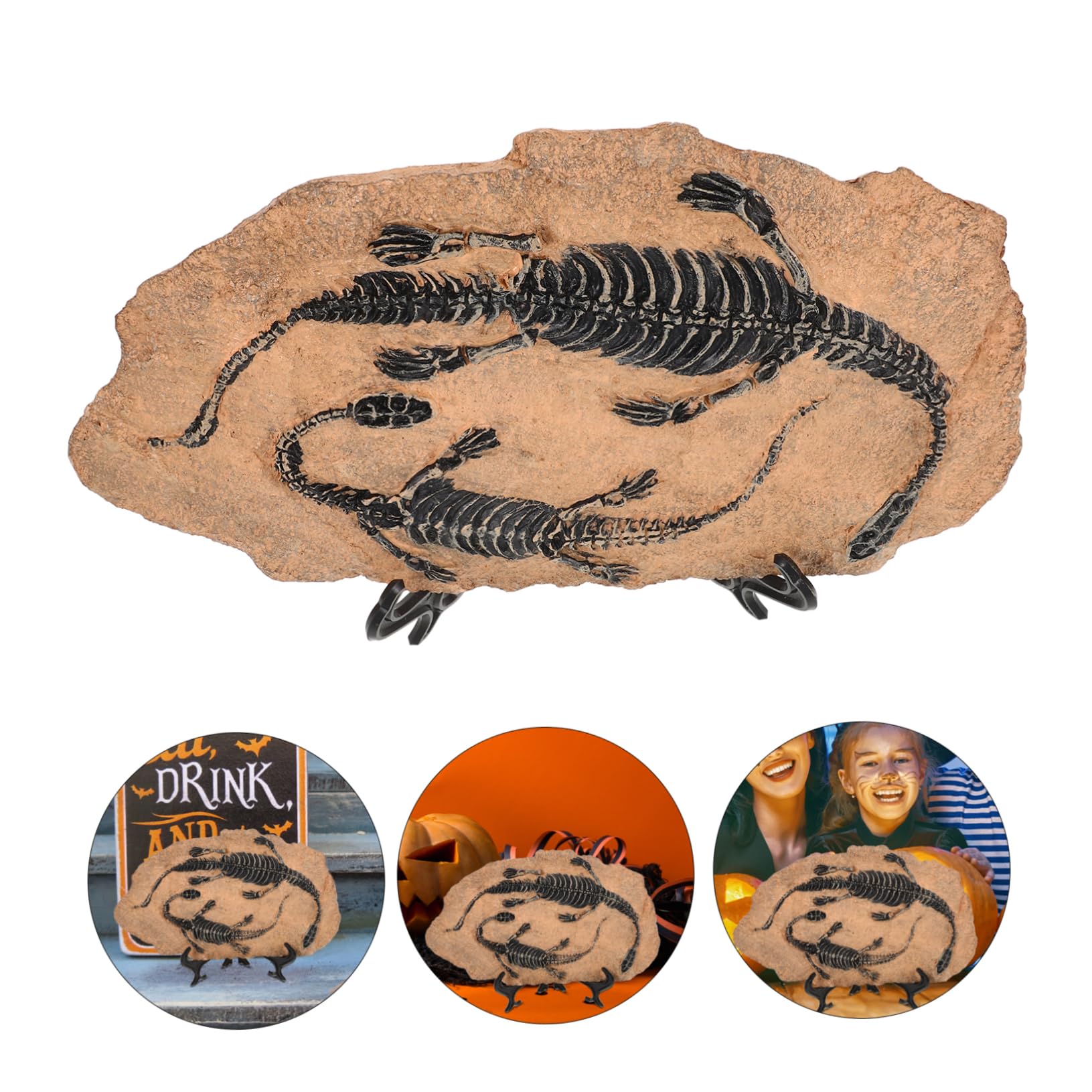 Scheletro Di Dinosauro Di Dinosauro Dindosale Per La Collezione Di Decorazioni Modelli A Spirale Giocattoli Didattici Per Ragazzi E Ragazze Esemplare Da Scrivania Decorativo