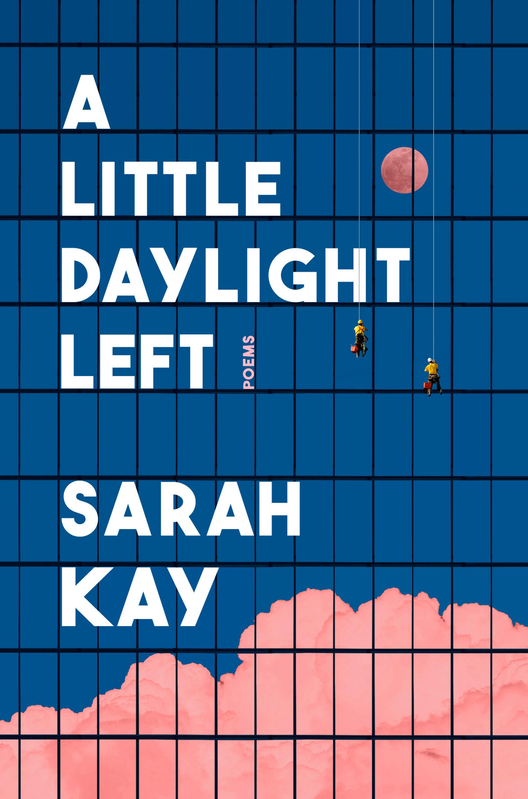 Buy A Little Daylight Left: Poems — BookShops.in