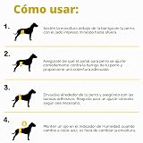 Ver la foto 6