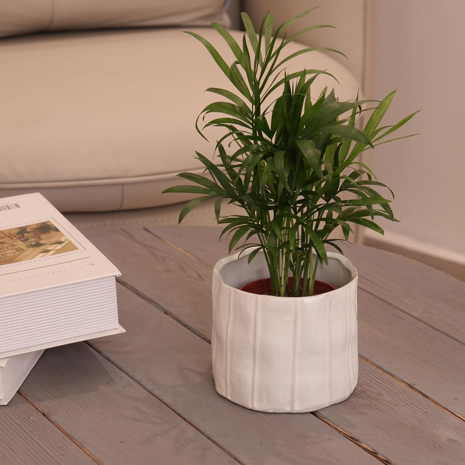 Plant Pot 4 Inch Ceramic Pots, Set of 2 Flower Pots Irregular Shape Inner Glaze Small White Planters Pots with Drainage Hole and Mesh Pads for Indoor Outdoor Garden Pots Succulent, Cactus, Herbs