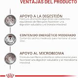 Ver la foto 6