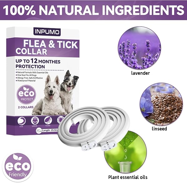 Collier Anti Puces pour Chien, Réglable Et Étanche Collier Antiparasitaire Chien 12 Mois, Naturel Imperméable Élimine Puces, Tiques, Poux (2 pièce) - 2