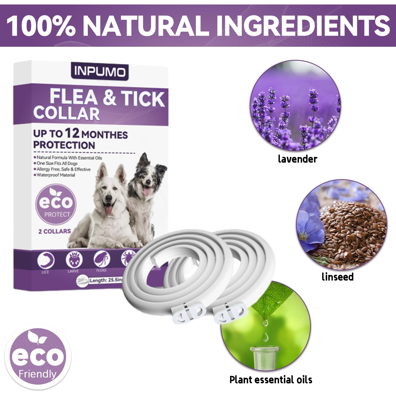 Collier Anti Puces pour Chien, Réglable Et Étanche Collier Antiparasitaire Chien 12 Mois, Naturel Imperméable Élimine Puces, Tiques, Poux (2 pièce) - 2