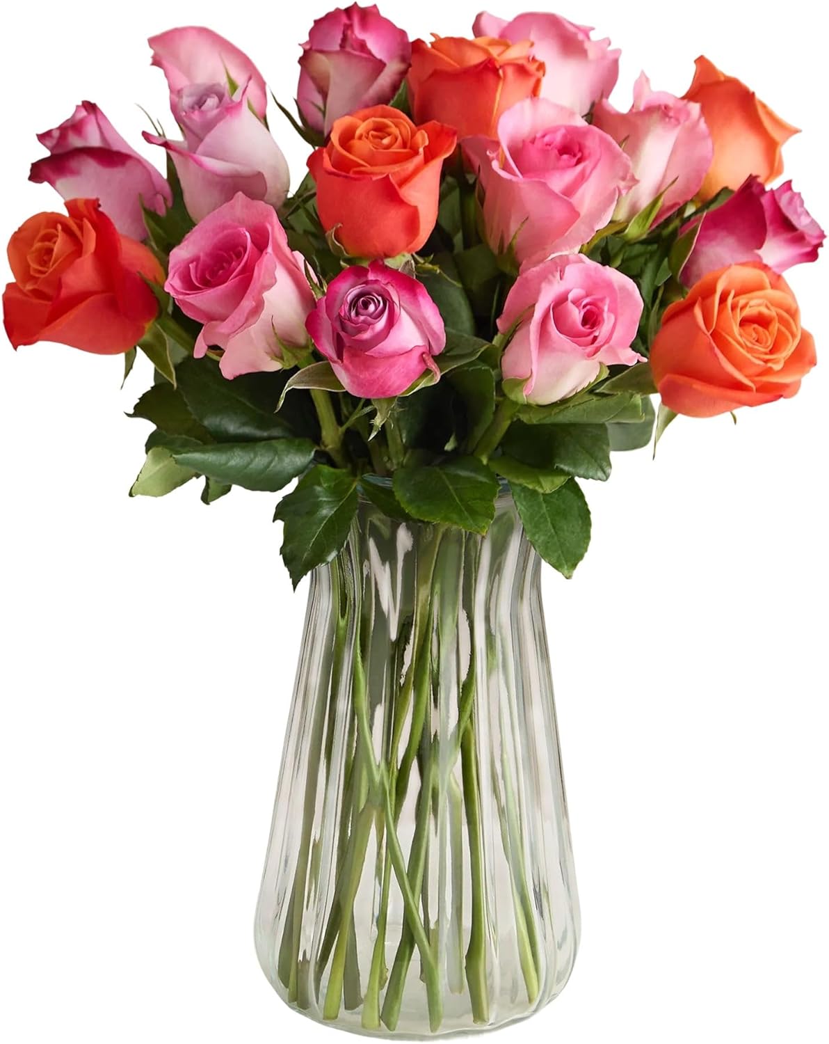 1800 Flowers – 18 Stem Assorted Sorbet Roses (Clear Vase Included) | Fresh Cut Spring Flowers for Delivery | Gift for Mother's Day, Anniversary, Sympathy, and Special Occasions