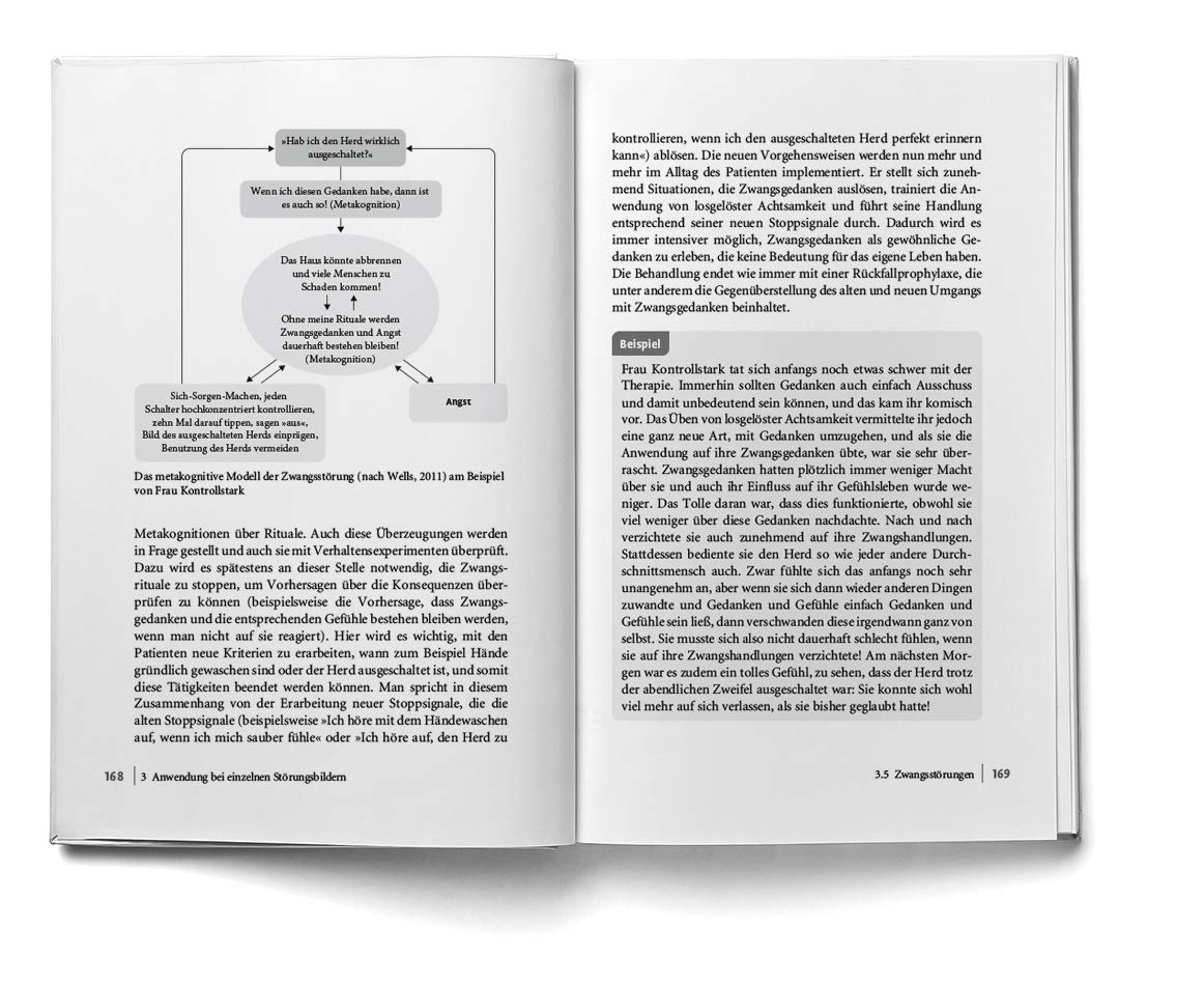 Sorgenlos und grübelfrei: Wie der Ausstieg aus der Grübelfalle gelingt. Selbsthilfe und Therapiebegleitung mit Metakognitiver Therapie. Mit Online-Material