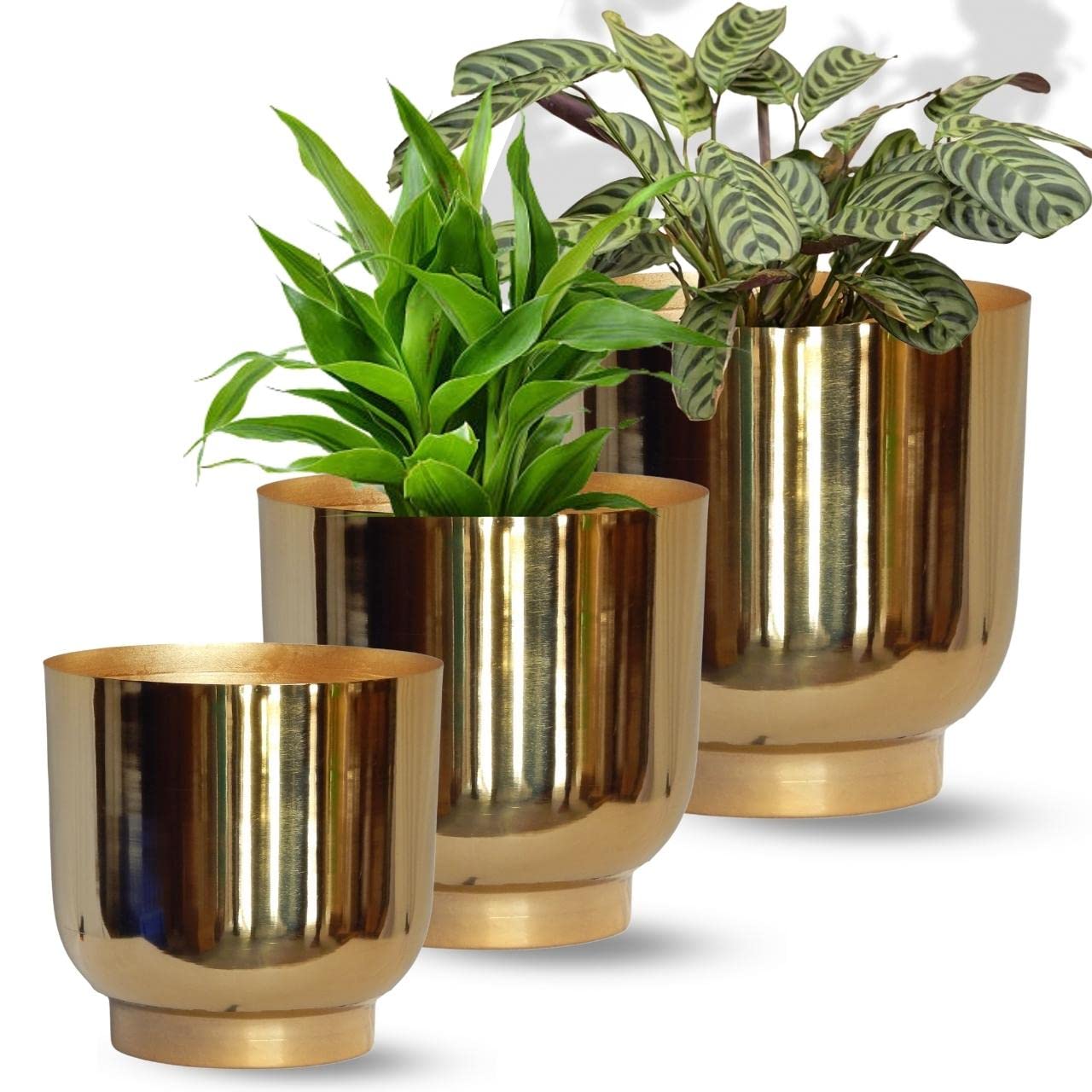 ecofynd 3 Pack Eva Metal Plant Pots (8 inch, 9 inch, 10 inch) | Indoor Planter Flower Pots with Drainage Hole | Home Garden Decor Planter for Living Room Bedroom Interior (Gold Finish) (B0BSRSRPWP) Amazon Price History, Amazon Price Tracker