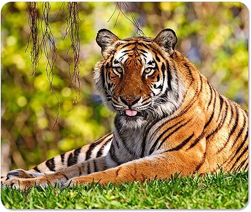 Tiger Large Mousepad Mouse Pad Great Gift Idea