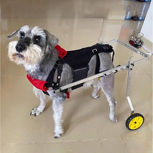 Silla de ruedas para perros y gatos XL XXL silla de ruedas para perros grandes piernas traseras