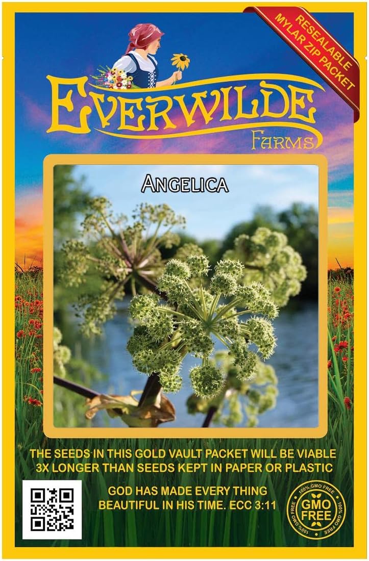 Everwilde Farms - 1/4 Lb Angelica Native Wildflower Seeds - Gold Vault