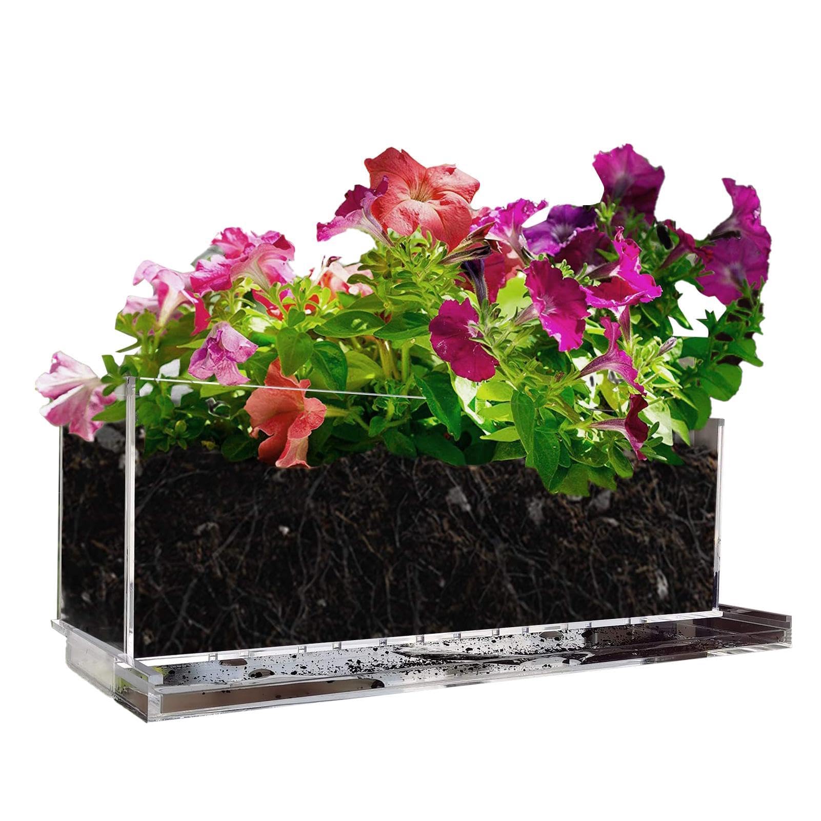 Jardinière en acrylique pour fenêtre ensoleillée et jardin