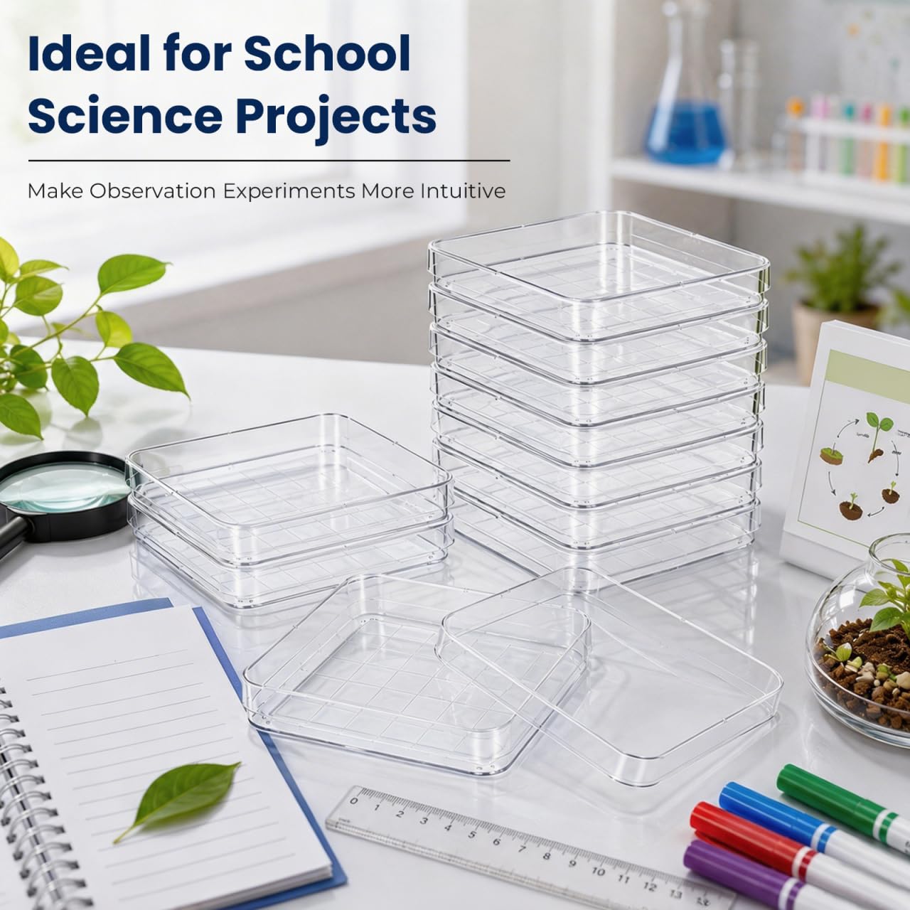 MAGICLULU 10 pièces Boîtes Pétri Carrées avec Couvercle Boîtes Pétri Transparentes pour Microbiologie Recherche Botanique Projets Scolaires et Laboratoire Scientifique