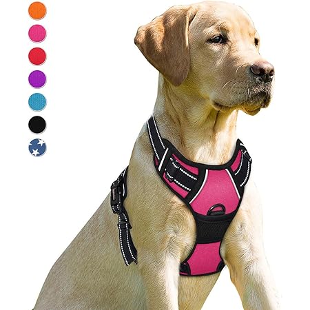 Front leash dog harness Clearance